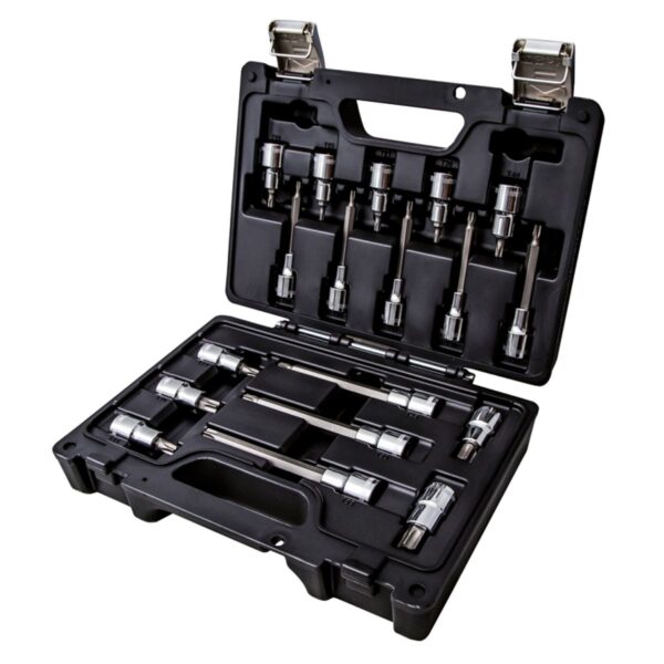 Komplet 18 nasadek z końcówką trzpieniową profil Torx®, w pudełku z tworzywa sztucznego BetaWORKER - BW 923E-TX/C18