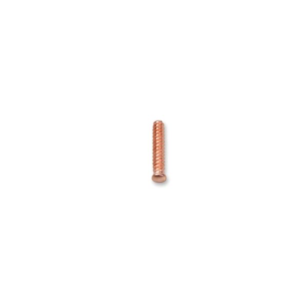 100 trzpieni samogwintujących, 5x25 mm Beta - 1366S/R8